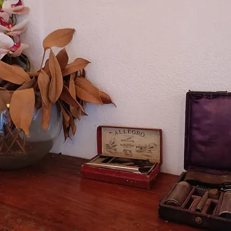 Apartamento Lorelei Farm 6 Aboadela